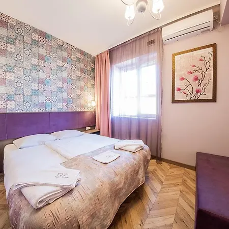 Violet Life Szófia